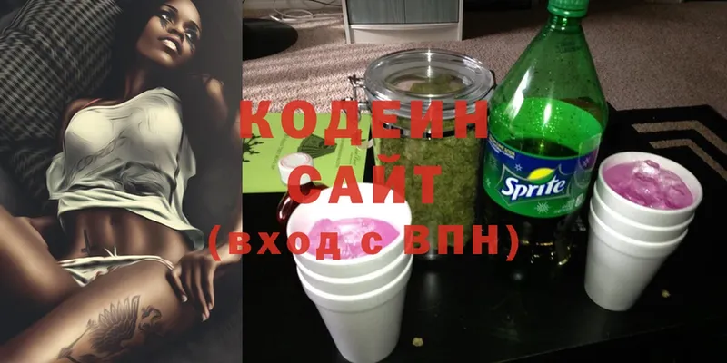 OMG ссылка  магазин продажи наркотиков  Новочебоксарск  Кодеиновый сироп Lean напиток Lean (лин) 